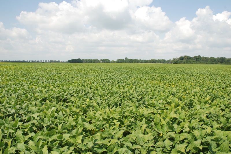 Agricultural Training
